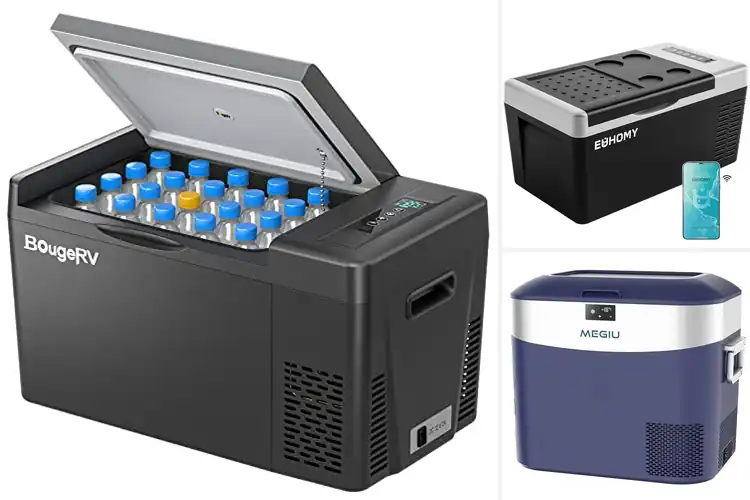 Detailed view of Best 12 Volt Car Refrigerators