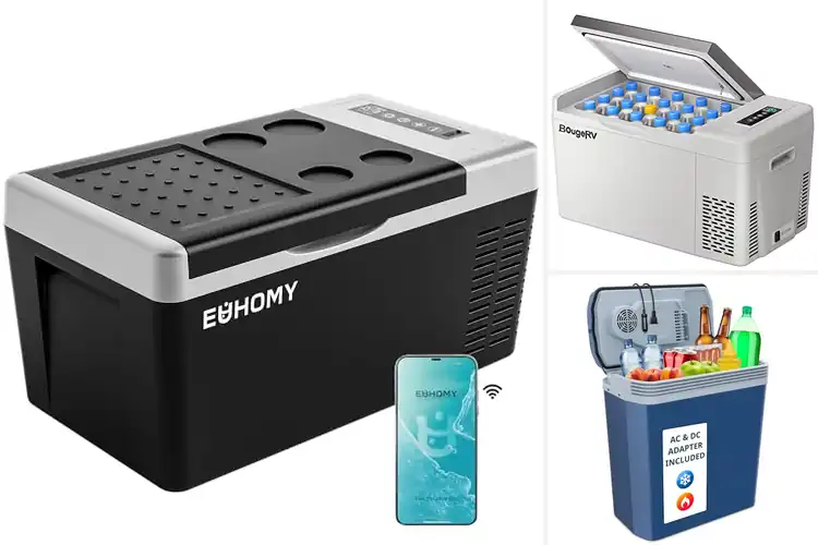 Detailed view of Best 12V Coolers