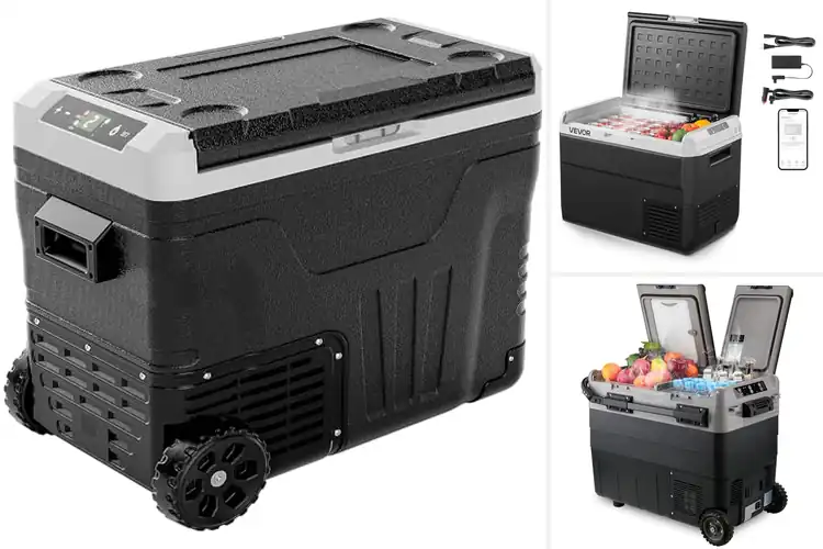Detailed view of Best 50 Liter Portable Fridge Freezer