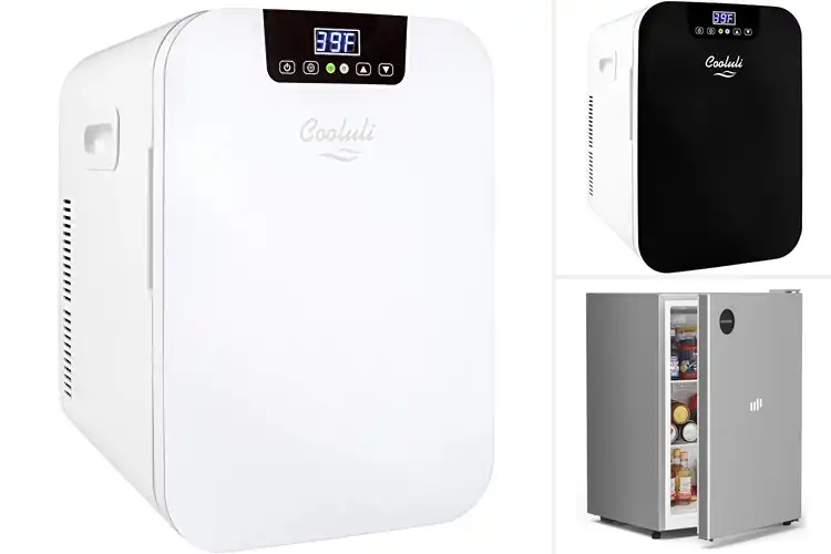Detailed view of Best Adjustable Temperature Portable Fridges