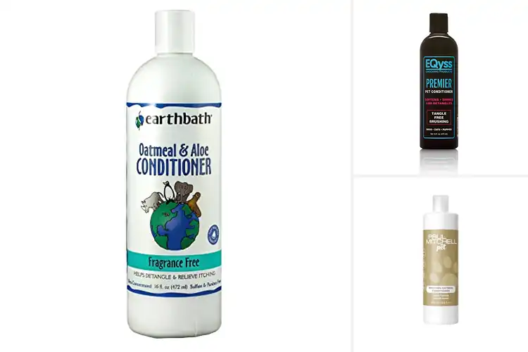 Detailed view of Best Botanical Pet Conditioners: Gentle, Healthy Coat Care