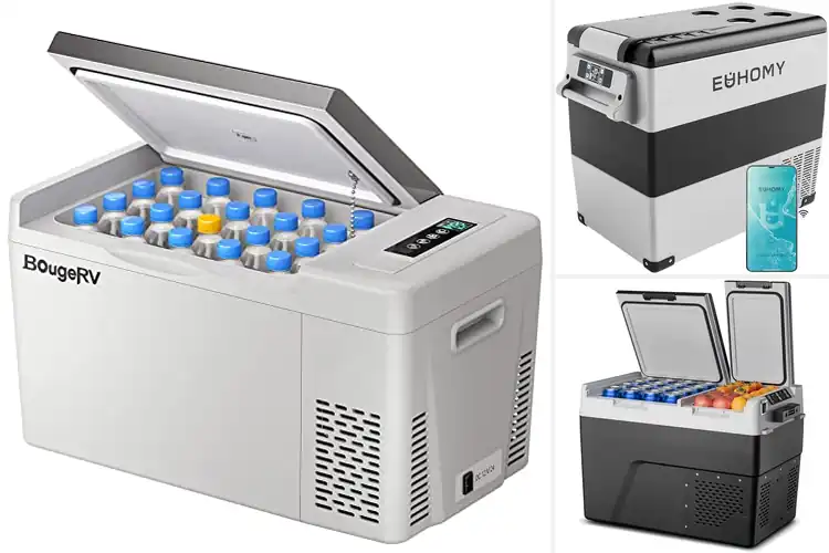Detailed view of Best Camping Fridge Freezers
