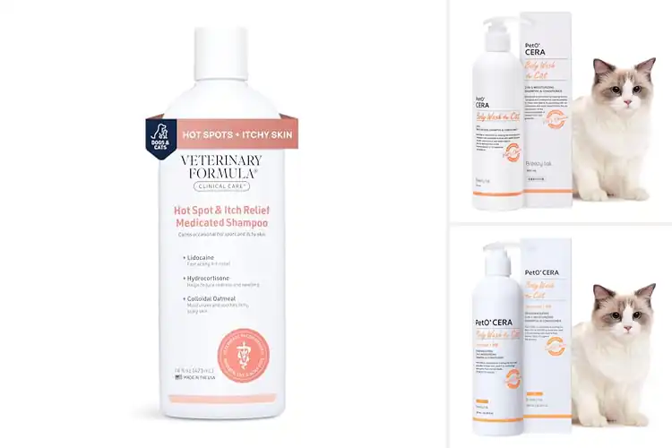 Detailed view of Best Cat Coat Conditioners