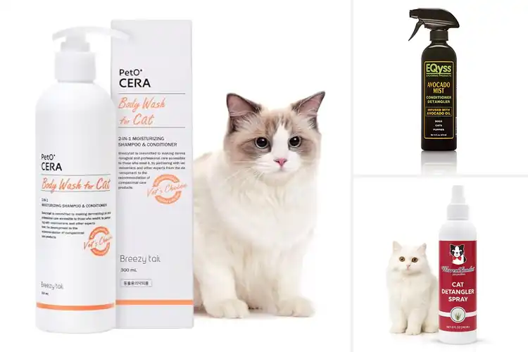Detailed view of Best Cat Grooming Conditioners