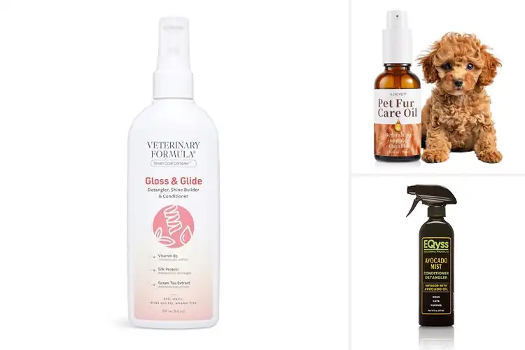 Detailed view of Best Cat Shine Conditioners: Top 10 for a Glossy Coat