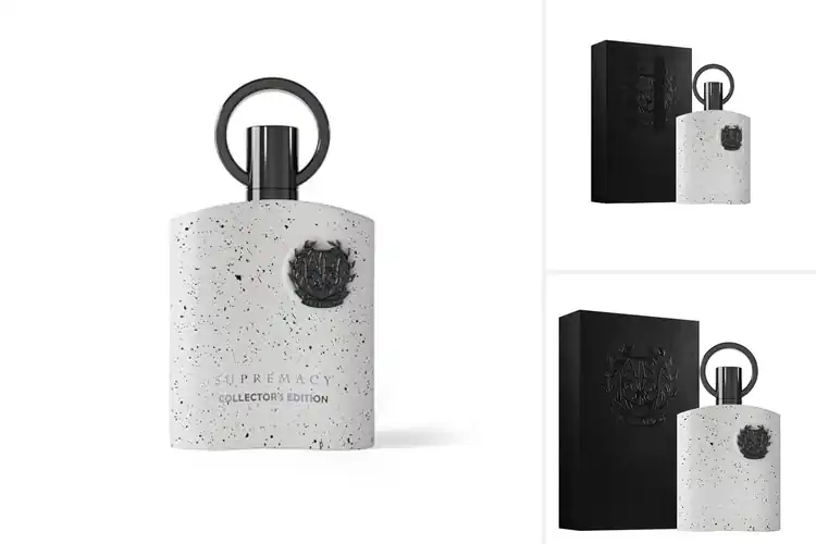 Detailed view of Best Collector Fragrances