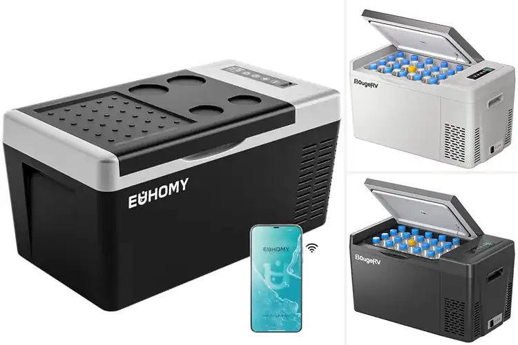 Detailed view of Best Compressor Car Coolers: Top Picks to Keep Food Fresh