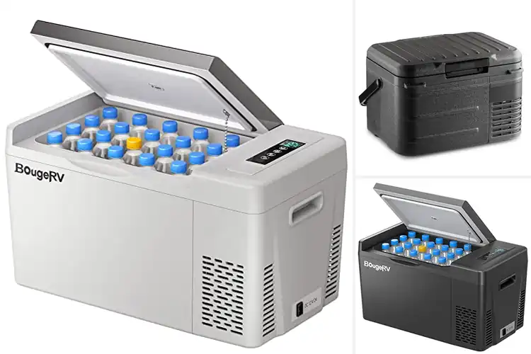 Detailed view of Best Compressor Car Fridges