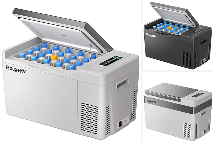 Detailed view of Best Compressor Coolers – Keep Food Fresh on the Go