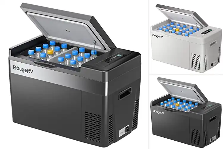 Detailed view of Best Compressor Cooling Technology Fridge