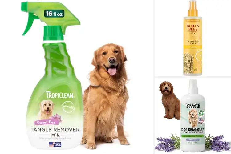 Detailed view of Best Dog Detanglers: Top 10 Picks for a Smooth, Shiny Coat