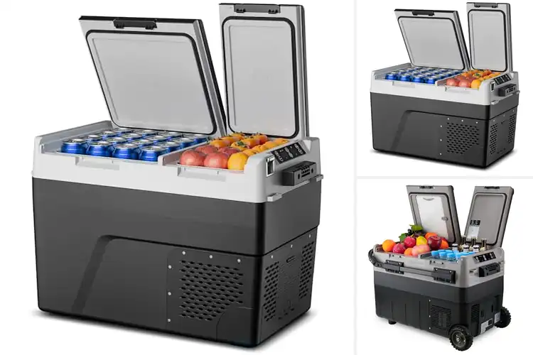 Detailed view of Best Dual Compartment Portable Fridge