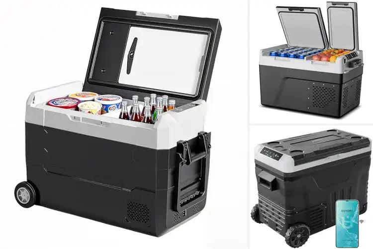 Detailed view of Best Dual Zone Car Refrigerator