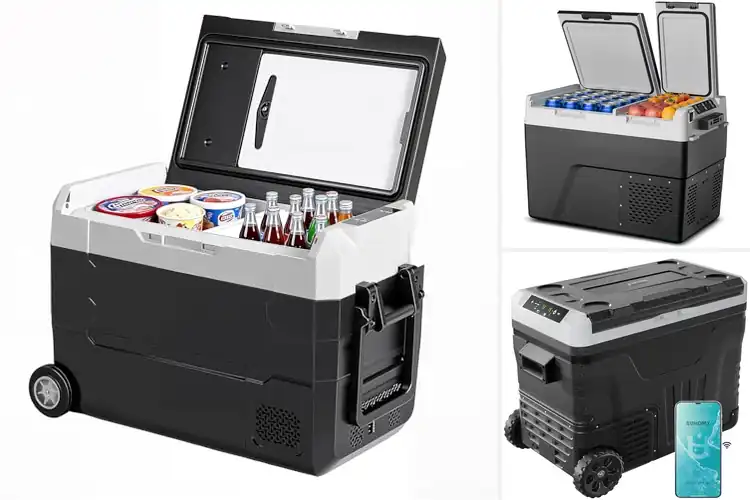 Detailed view of Best Dual Zone Fridges: Top 10 Picks for Fresh Adventures