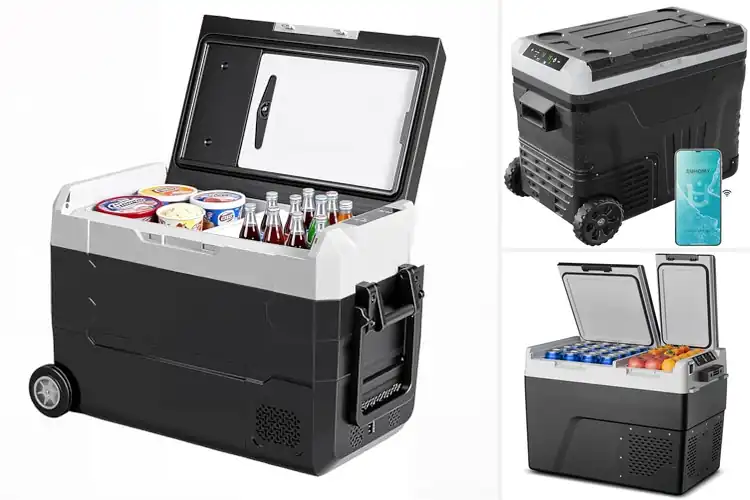 Detailed view of Best Dual Zone Portable Fridges