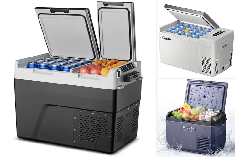 Detailed view of Best Energy Efficient Car Refrigerator ECO Mode