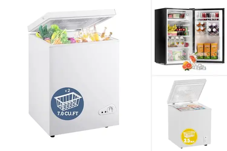 Detailed view of Best Energy Efficient Portable Freezers