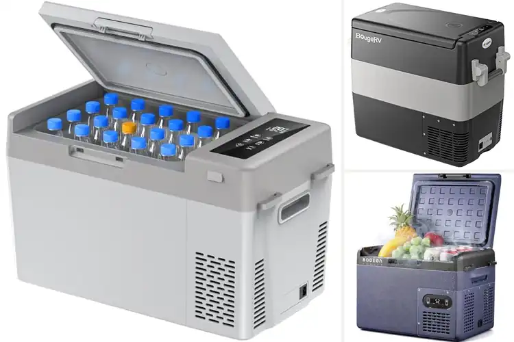 Detailed view of Best Energy Efficient Portable Fridge ECO Mode
