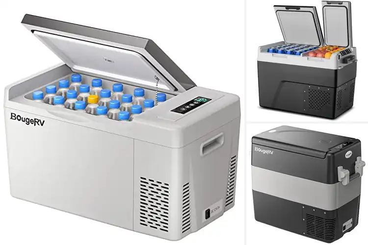 Detailed view of Best Energy Efficient Portable Fridge
