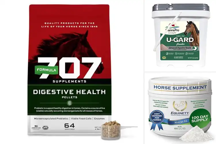 Detailed view of Best Equine Digestion Supplements for a Healthier Gut