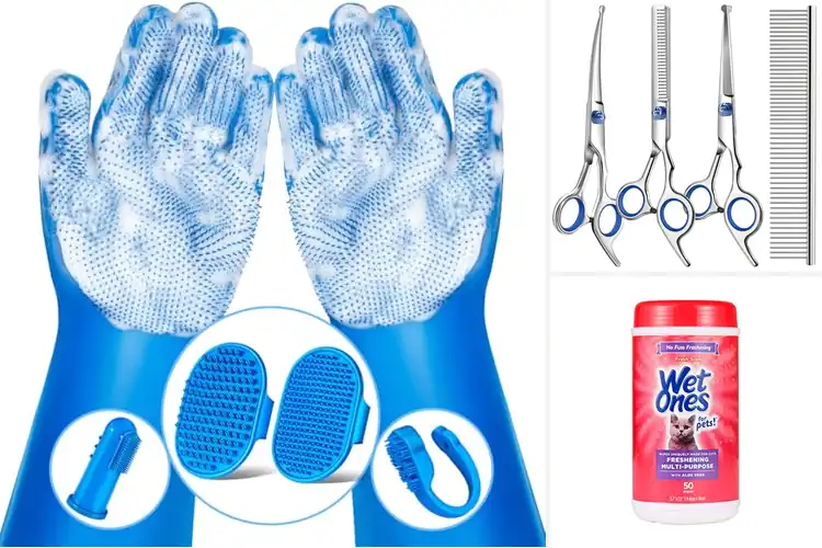 Detailed view of Best Grooming Products for Pets