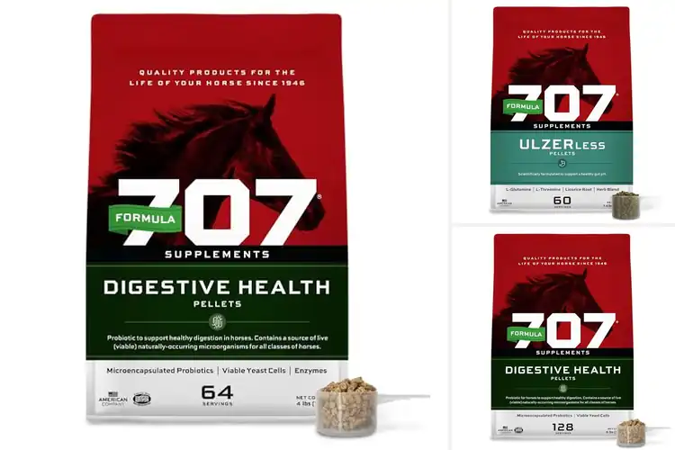 Detailed view of Best Gut Health Supplements For Horses