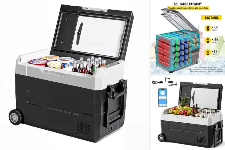 Detailed view of Best Home And Car Dual Use Refrigerator