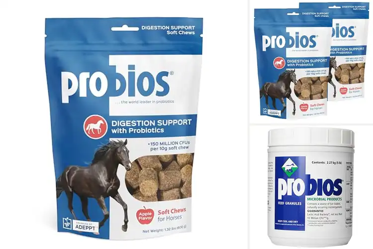 Detailed view of Best Horse Probiotics: Calm, Comfortable Horses Made Easy