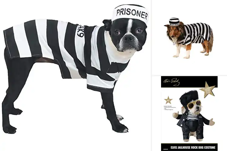 Detailed view of Best Jail Inmate Dog Costume