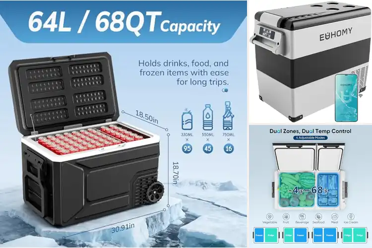 Detailed view of Best Large Capacity Portable Freezers