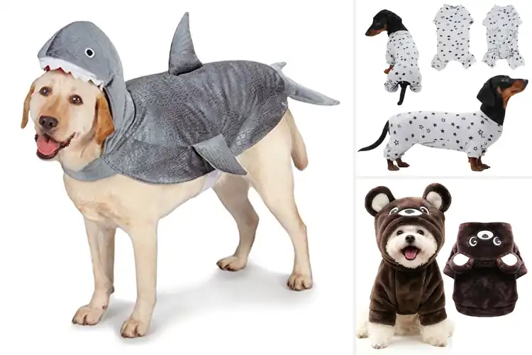 Detailed view of Best Machine Washable Dog Costume: Pawsome & Washable