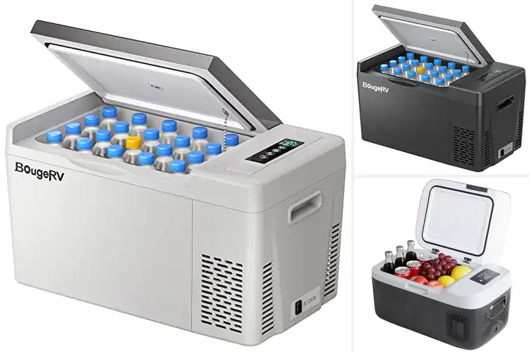 Detailed view of Best Multi-Purpose Car Fridges