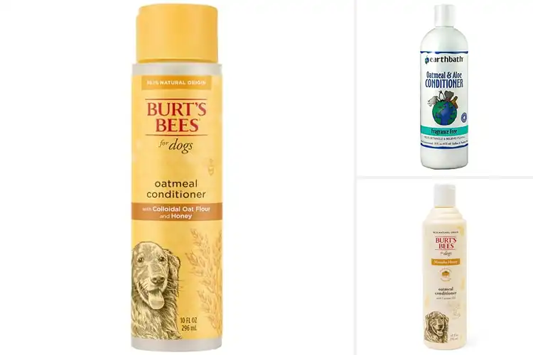 Detailed view of Best Natural Pet Conditioners
