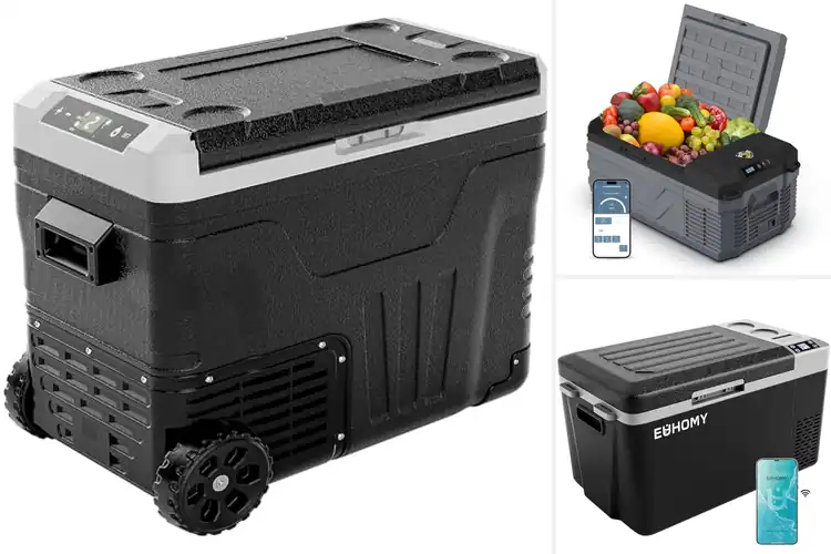 Detailed view of Best Outdoor Camping Fridges