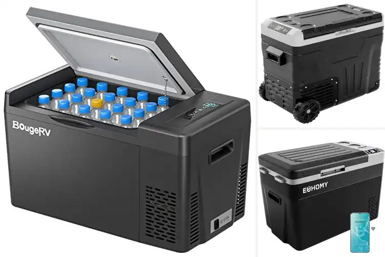 Detailed view of Best Outdoor Portable Refrigerators
