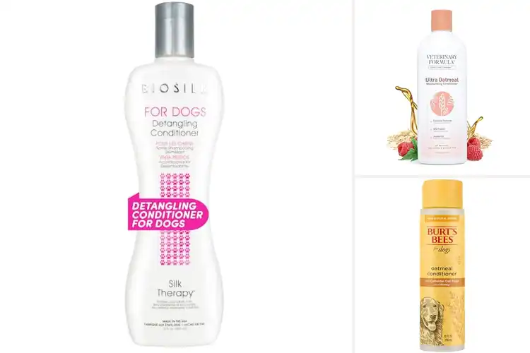 Detailed view of Best Pet Conditioners: Top 10 Picks for a Soft, Shiny Coat