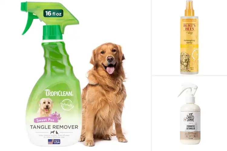 Detailed view of Best Pet Detanglers