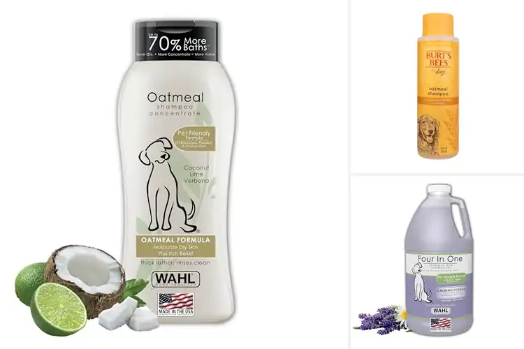 Detailed view of Best Pet Shampoos: Top-Rated Picks for a Fresh, Healthy Coat