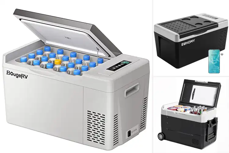 Detailed view of Best Portable Car Cooler Freezers