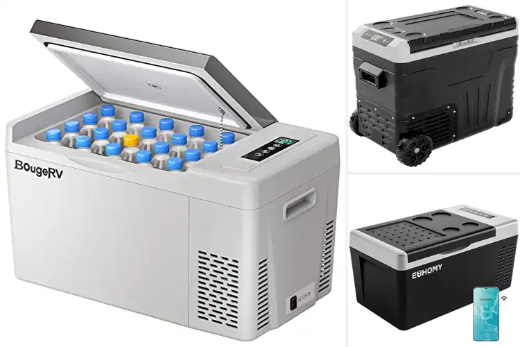 Detailed view of Best Portable Freezer Coolers