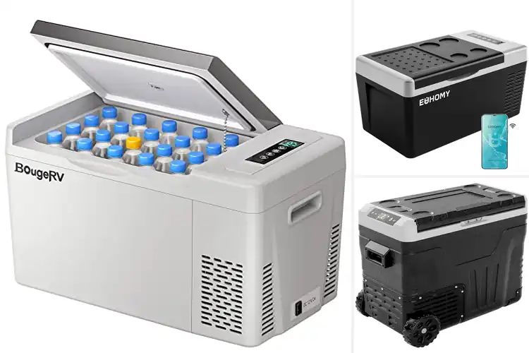 Detailed view of Best Portable Fridge Freezers
