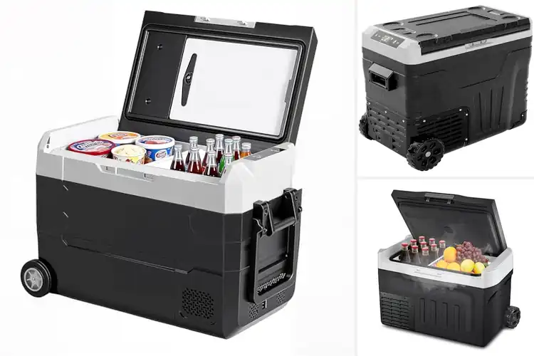 Detailed view of Best Portable Fridge With Wheels