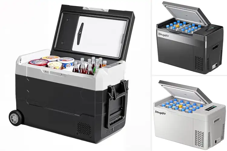 Detailed view of Best Portable Refrigerators