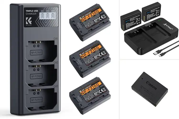 Detailed view of Best Professional Photographer Batteries