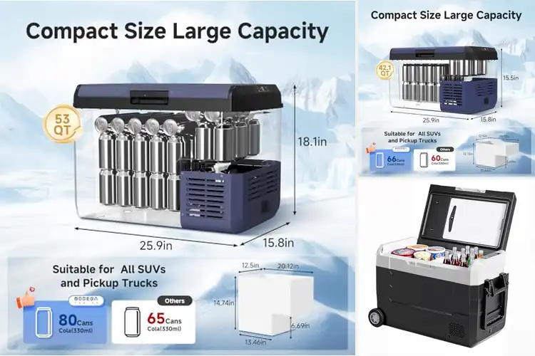 Detailed view of Best Quiet Car Refrigerators