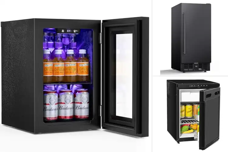 Detailed view of Best Quiet Operation Under 45Db Fridge