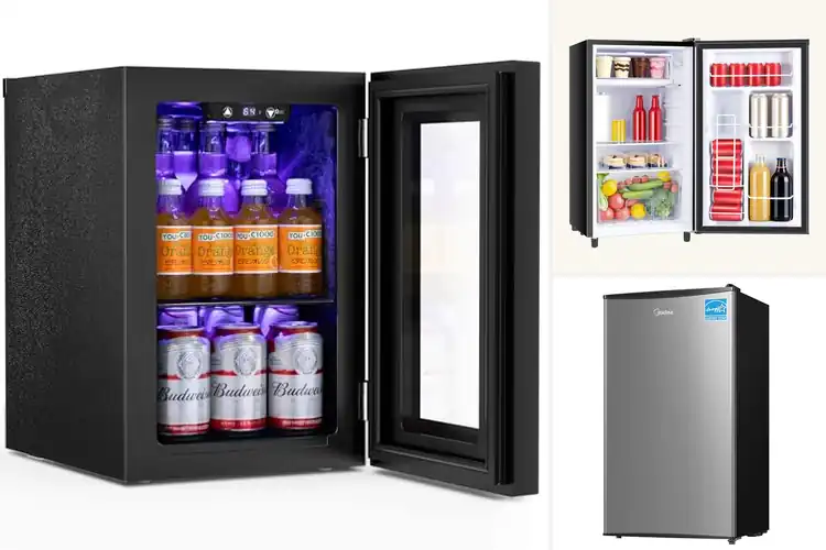 Detailed view of Best Quiet Refrigerators
