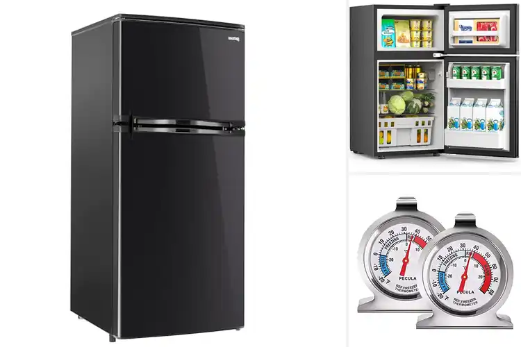 Detailed view of Best RV Refrigerator Freezers