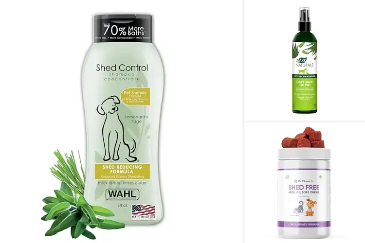 Detailed view of Best Shedding Reduction Products For Pets