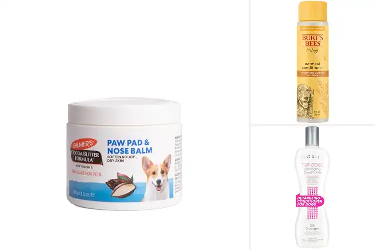 Detailed view of Best Softening Pet Products for a Silky, Healthy Coat